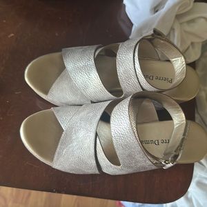 Pierre Dumas wedges